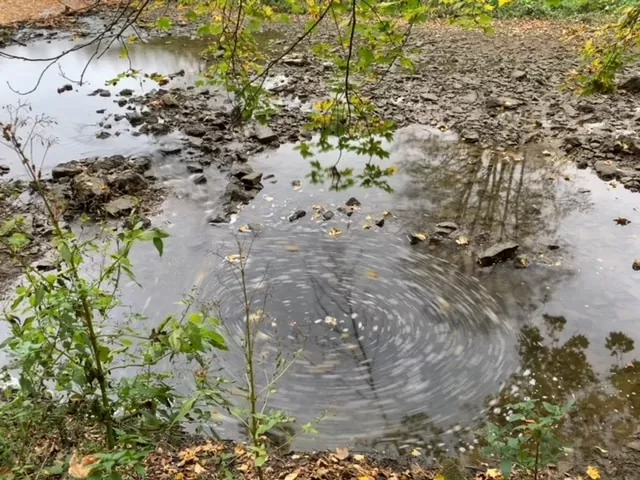 Уходящая в воронку дунайская вода Воронка в воде Дуная
