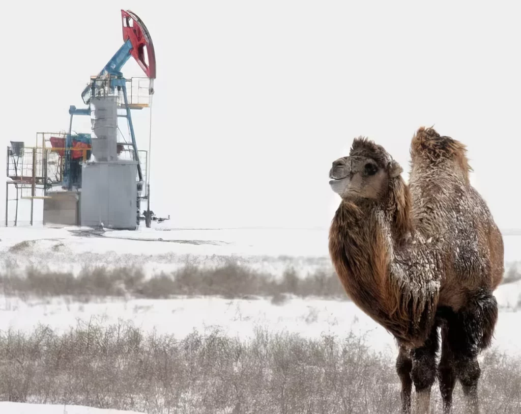 Добыча нефти близ Нового Узеня