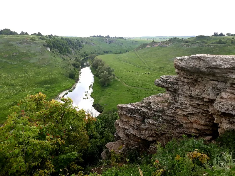Ландшафт заповедника Галичья гора
