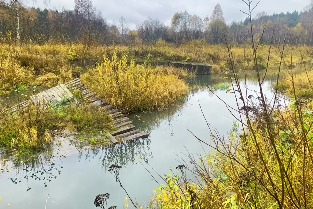 Река Шача рядом с местом взрыва