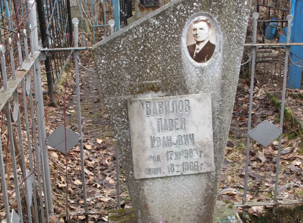 Захоронение П. Вавилова