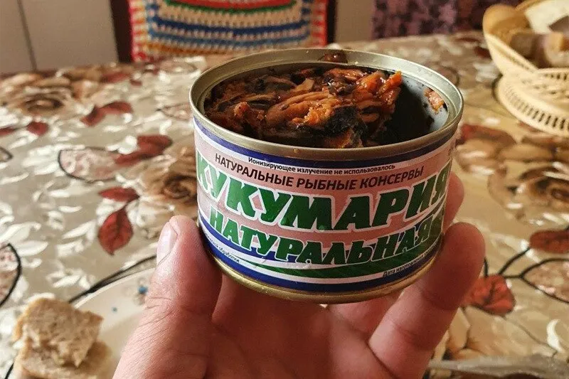 Моллюск кукумария