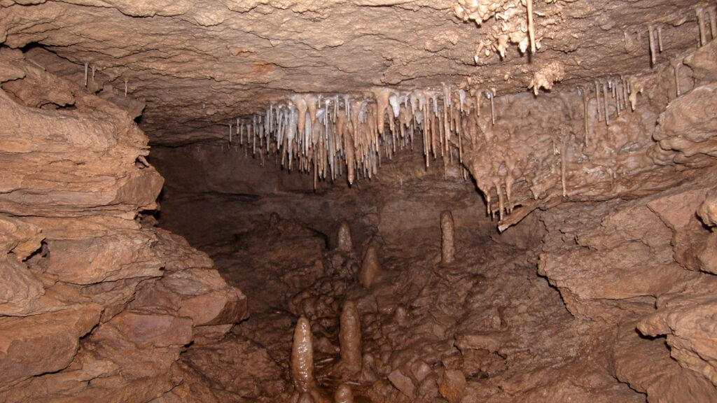Buzzard’s Roost