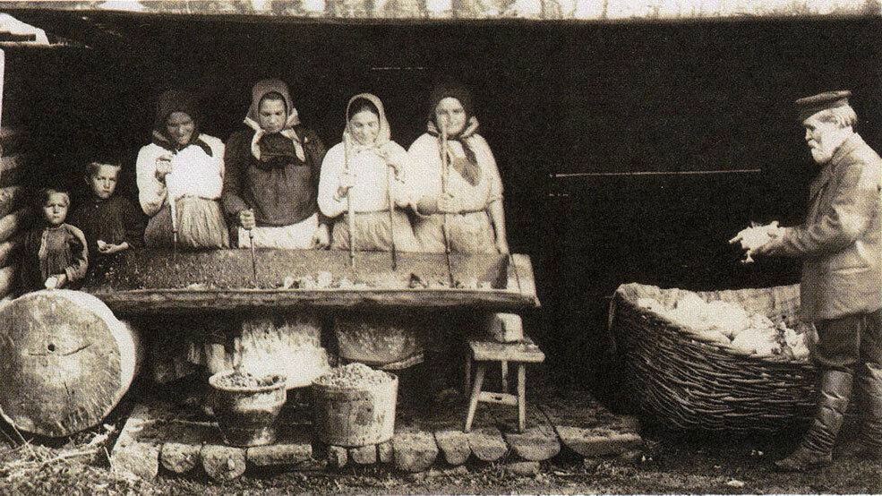Заготовка капусты